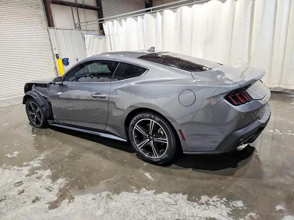 1FA6P8TH2R5136626 2024 FORD MUSTANG - Image 2