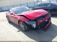 1FA6P8TH2R5137890 2024 FORD MUSTANG