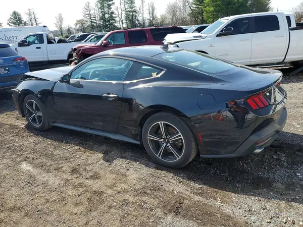 1FA6P8TH2R5139834 2024 FORD MUSTANG - Image 2