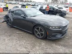 1FA6P8TH2R5146377 2024 FORD MUSTANG