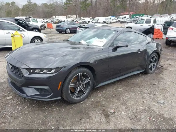 1FA6P8TH2R5146377 2024 FORD MUSTANG - Image 2