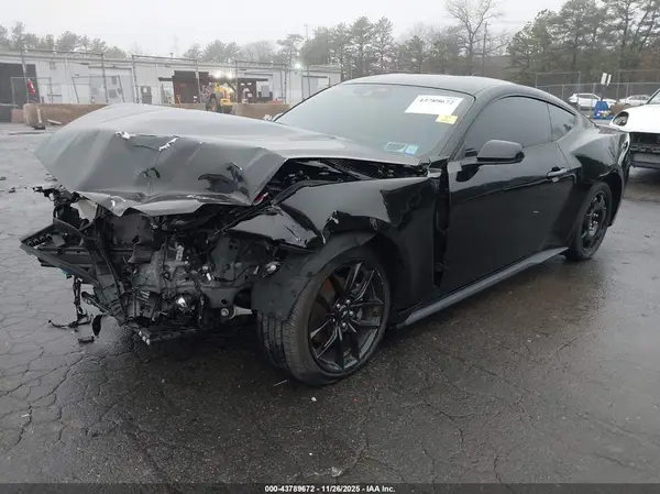 1FA6P8TH2R5149473 2024 FORD MUSTANG - Image 2