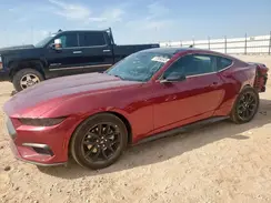 1FA6P8TH2S5116267 2025 FORD MUSTANG