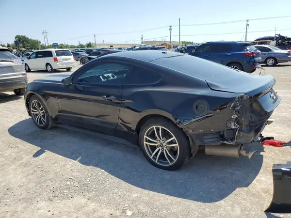 1FA6P8TH3F5309033 2024 FORD MUSTANG - Image 2