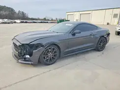 1FA6P8TH3H5207993 2017 FORD MUSTANG