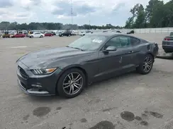 1FA6P8TH3H5224387 2017 FORD MUSTANG