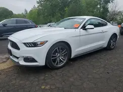 1FA6P8TH3H5229444 2017 FORD MUSTANG