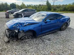 1FA6P8TH3H5246552 2017 FORD MUSTANG