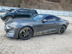 1FA6P8TH3J5137241 2018 FORD MUSTANG