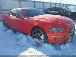 1FA6P8TH3K5102779 2019 FORD MUSTANG