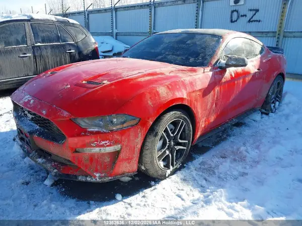 1FA6P8TH3K5102779 2019 FORD MUSTANG - Image 2