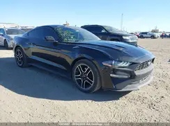 1FA6P8TH3K5103107 2019 FORD MUSTANG