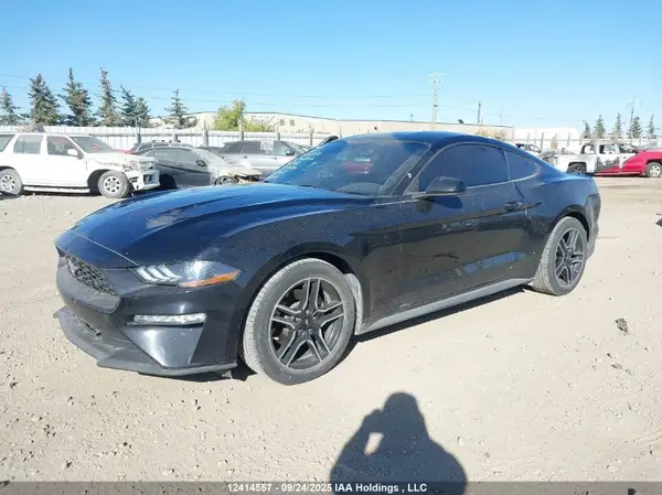 1FA6P8TH3K5103107 2019 FORD MUSTANG - Image 2