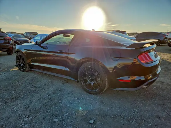 1FA6P8TH3K5106363 2019 FORD MUSTANG - Image 2