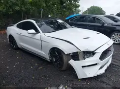 1FA6P8TH3K5111482 2019 FORD MUSTANG