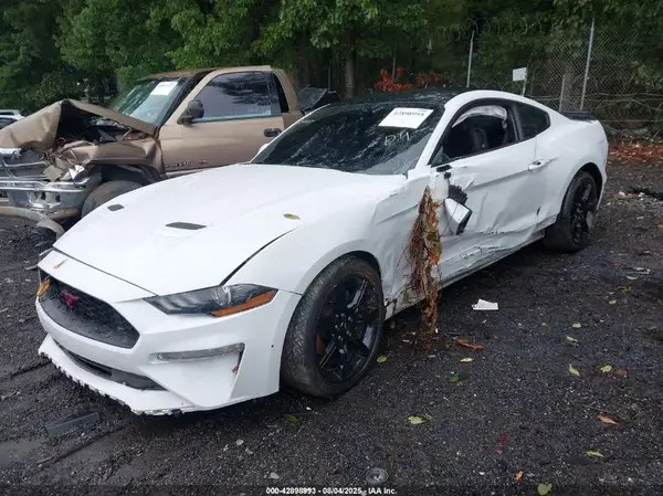 1FA6P8TH3K5111482 2019 FORD MUSTANG - Image 2