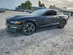 1FA6P8TH3K5112051 2019 FORD MUSTANG