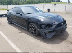 1FA6P8TH3K5118092 2019 FORD MUSTANG