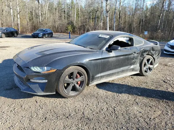 1FA6P8TH3K5121266 2019 FORD MUSTANG - Image 1