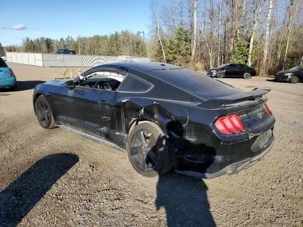 1FA6P8TH3K5121266 2019 FORD MUSTANG - Image 2