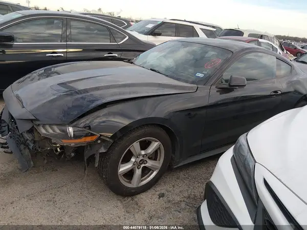 1FA6P8TH3K5123227 2019 FORD MUSTANG - Image 2