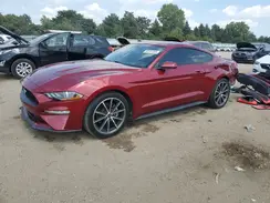 1FA6P8TH3K5124443 2019 FORD MUSTANG