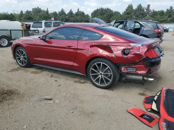 1FA6P8TH3K5124443 2019 FORD MUSTANG - Image 2