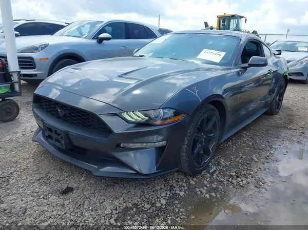 1FA6P8TH3K5134177 2019 FORD MUSTANG - Image 2
