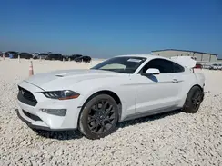 1FA6P8TH3K5142084 2019 FORD MUSTANG