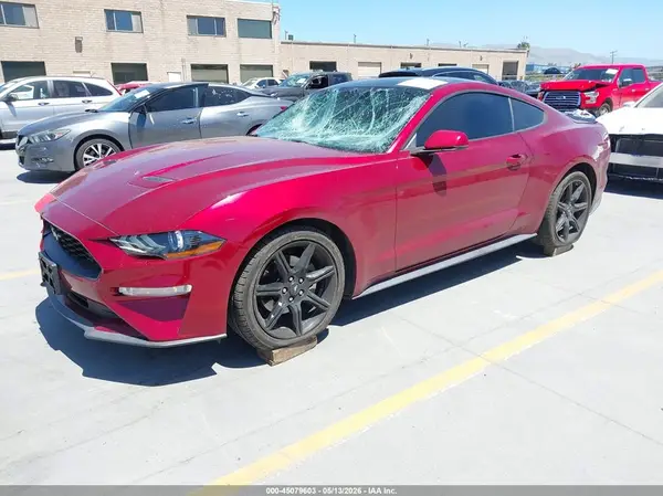 1FA6P8TH3K5148404 2019 FORD MUSTANG - Image 2