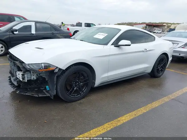 1FA6P8TH3K5150797 2019 FORD MUSTANG - Image 2