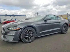 1FA6P8TH3K5161380 2019 FORD MUSTANG