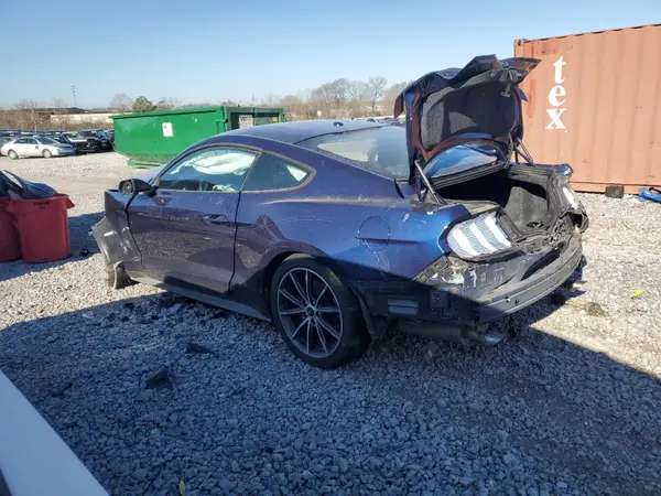 1FA6P8TH3K5161895 2019 FORD MUSTANG - Image 2