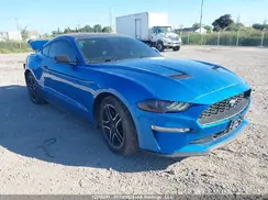 1FA6P8TH3K5164408 2019 FORD MUSTANG