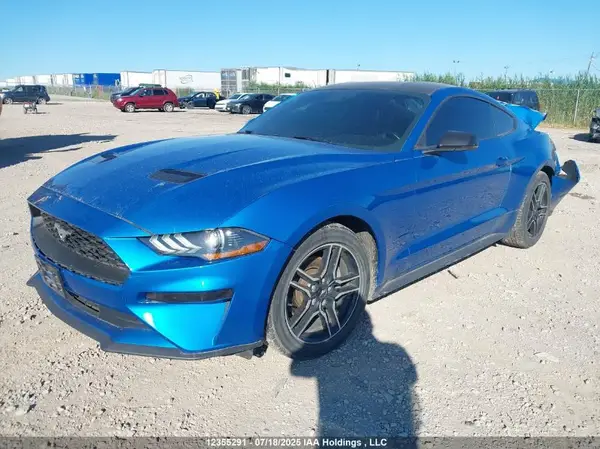 1FA6P8TH3K5164408 2019 FORD MUSTANG - Image 2