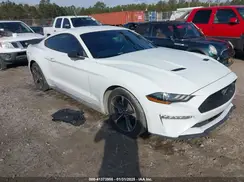 1FA6P8TH3K5167261 2019 FORD MUSTANG