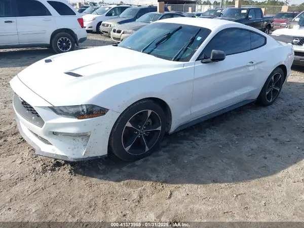 1FA6P8TH3K5167261 2019 FORD MUSTANG - Image 2