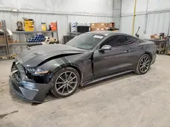 1FA6P8TH3K5167664 2019 FORD MUSTANG