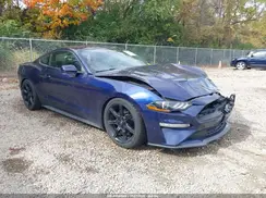 1FA6P8TH3K5167776 2019 FORD MUSTANG