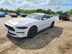 1FA6P8TH3K5169642 2019 FORD MUSTANG