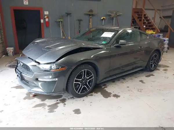 1FA6P8TH3K5172072 2019 FORD MUSTANG - Image 2