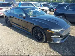 1FA6P8TH3K5173237 2019 FORD MUSTANG