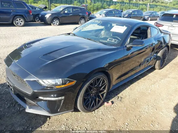 1FA6P8TH3K5173237 2019 FORD MUSTANG - Image 2