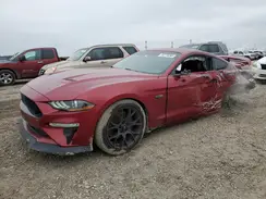 1FA6P8TH3K5175411 2019 FORD MUSTANG