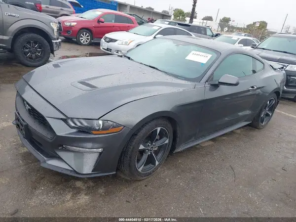 1FA6P8TH3K5175473 2019 FORD MUSTANG - Image 2