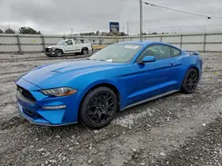 1FA6P8TH3K5177949 2019 FORD MUSTANG