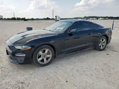 1FA6P8TH3K5178213 2019 FORD MUSTANG