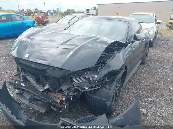 1FA6P8TH3K5179989 2019 FORD MUSTANG - Image 2