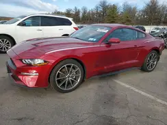 1FA6P8TH3K5180396 2019 FORD MUSTANG