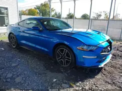 1FA6P8TH3K5182469 2019 FORD MUSTANG